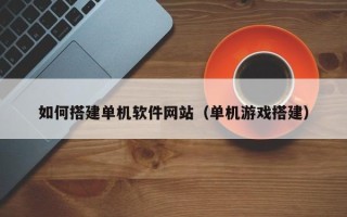 锦州如何搭建单机软件网站（单机游戏搭建）